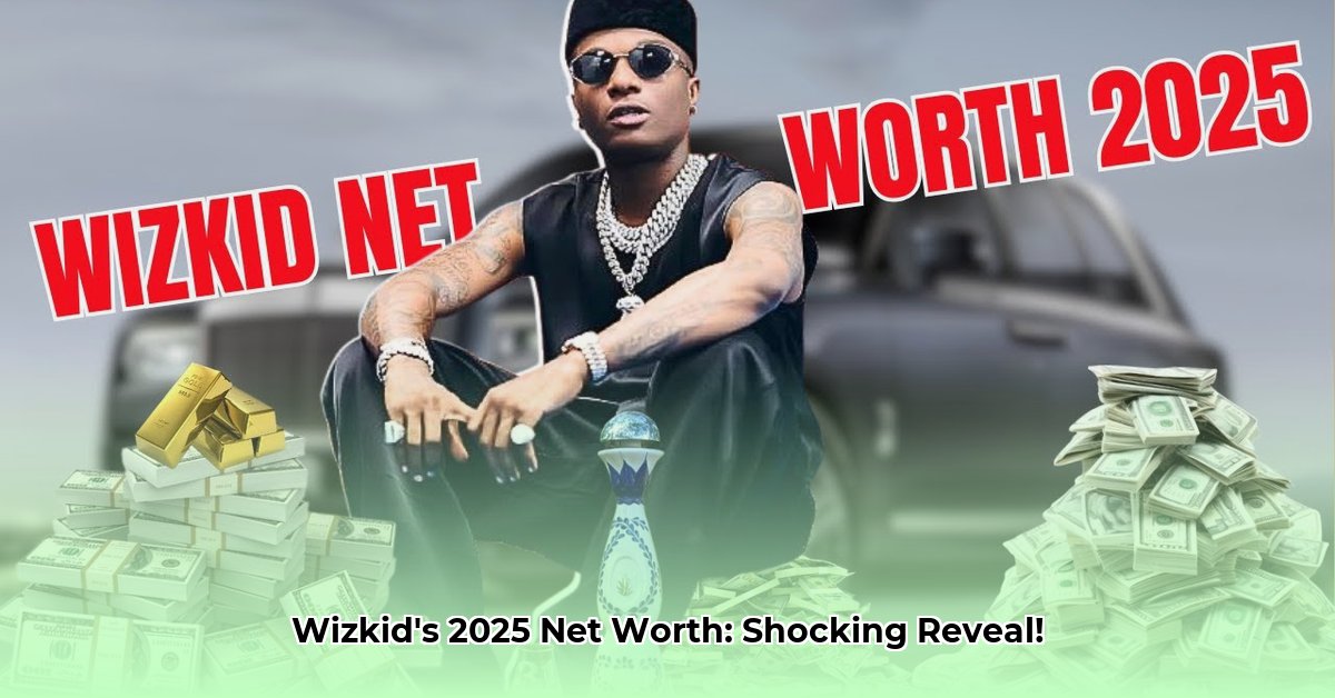wizkid-worth-net